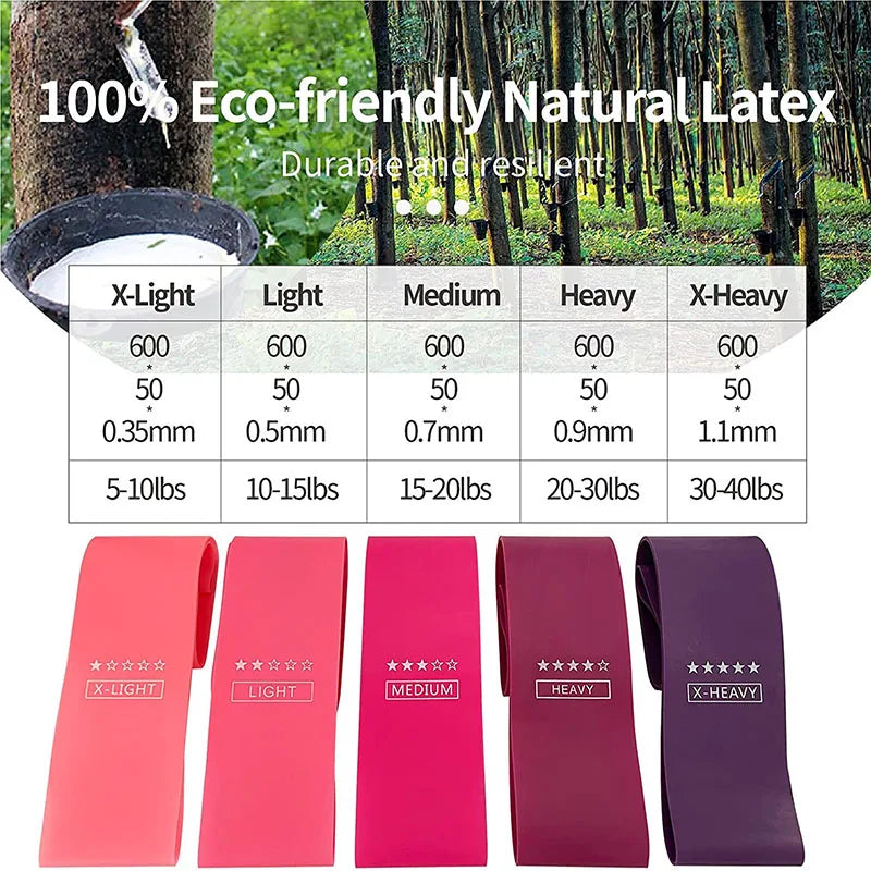 Bandes de Résistance Fitness – Set de 5 Niveaux pour Renforcement & Mobilité